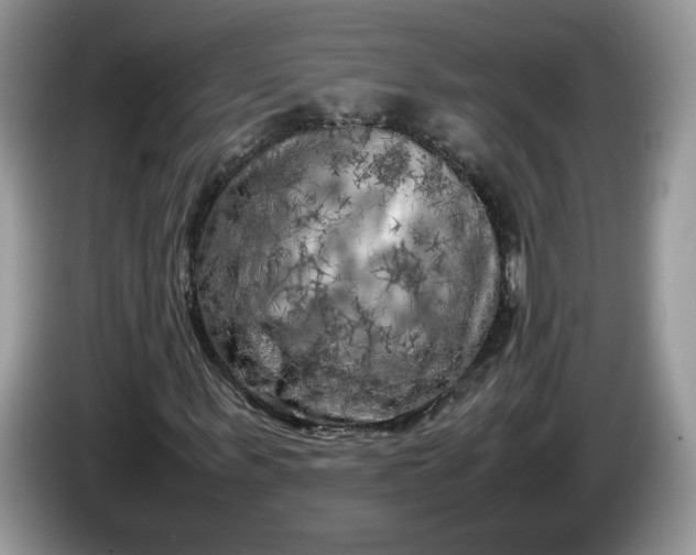 X0000086280963200704122044