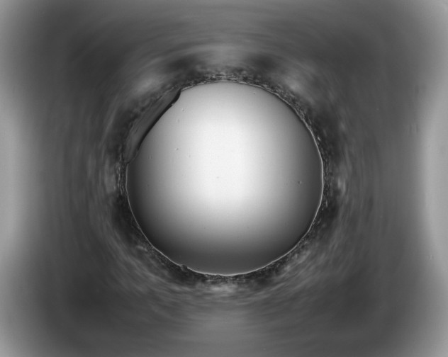 X0000086280965200704122044