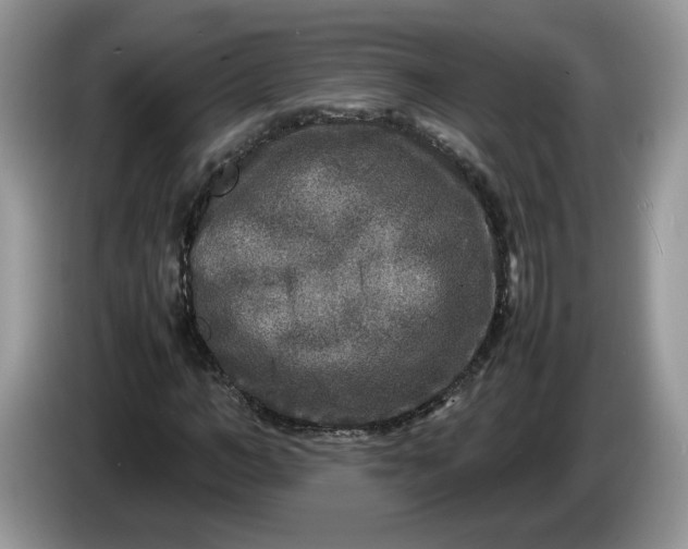 X0000086280966200704122044