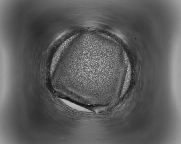 X0000086280967200704122044