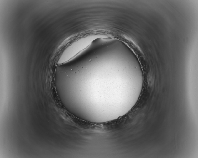 X0000086280968200704122044