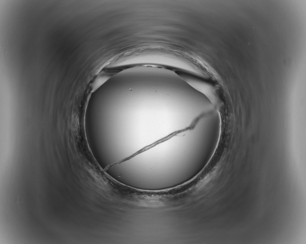 X0000086280969200704122044