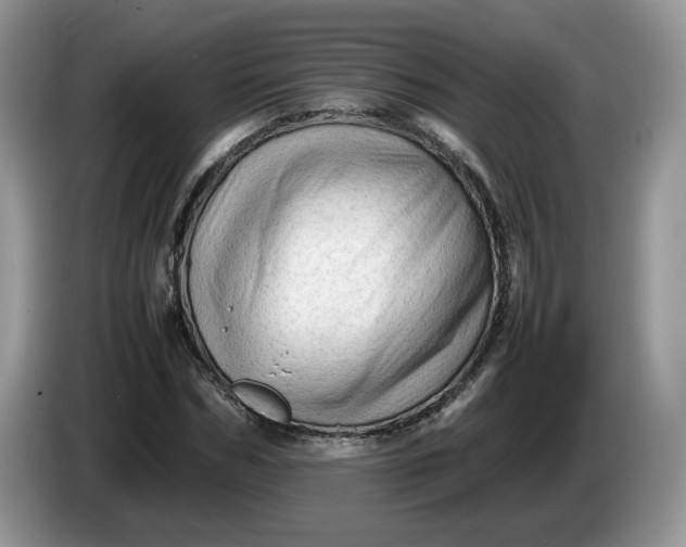 X0000086280970200704122044