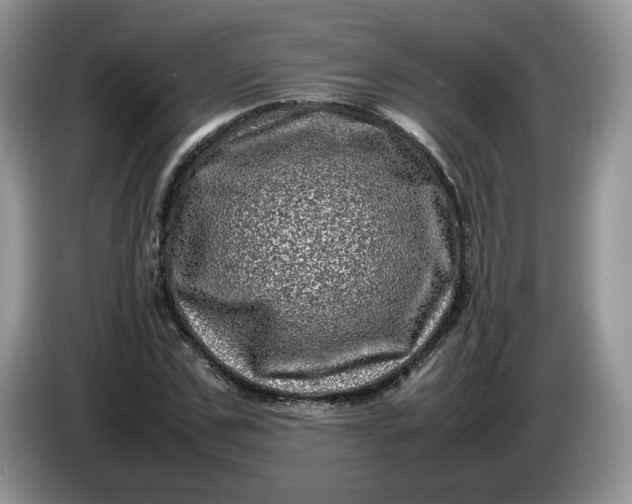 X0000086280971200704122044