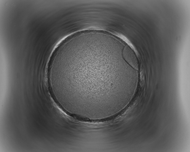 X0000086280972200704122044