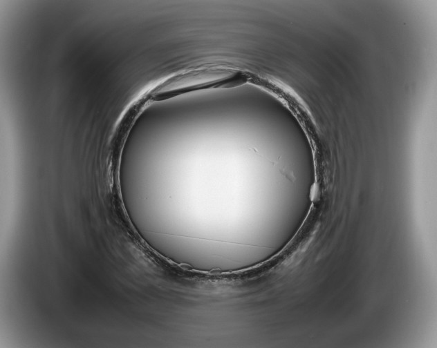 X0000086280973200704122044