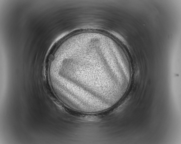 X0000086280974200704122044