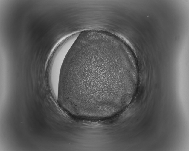 X0000086280975200704122044