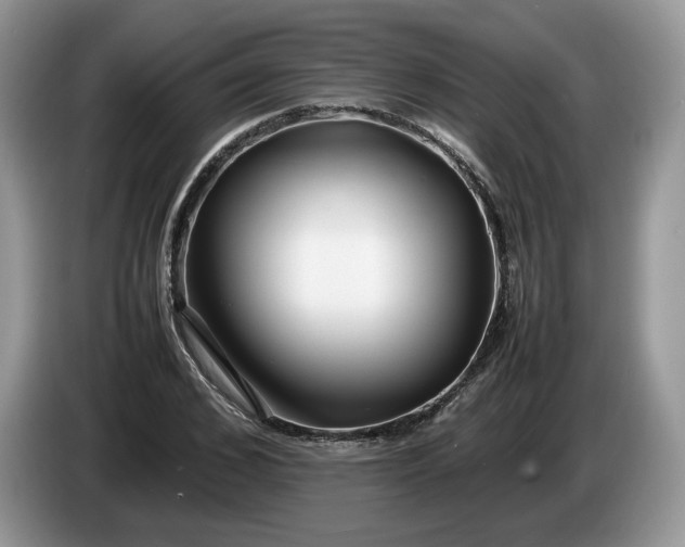 X0000086280976200704122044