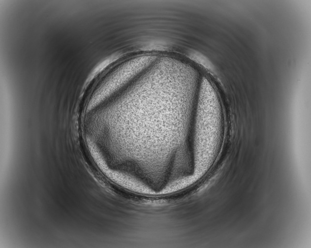 X0000086280978200704122044