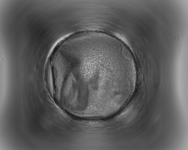 X0000086280979200704122044