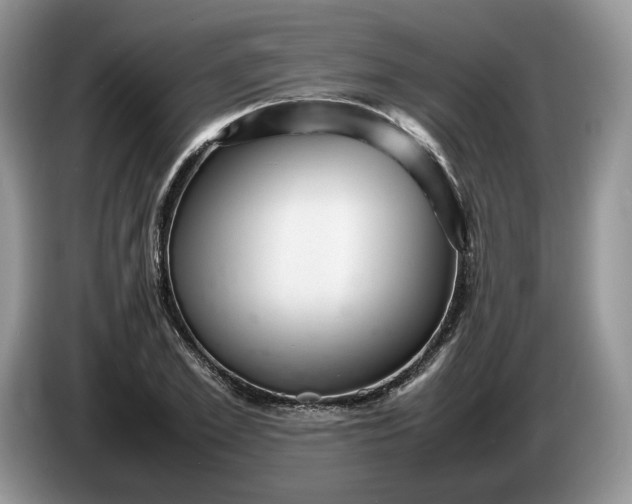 X0000086280981200704122044