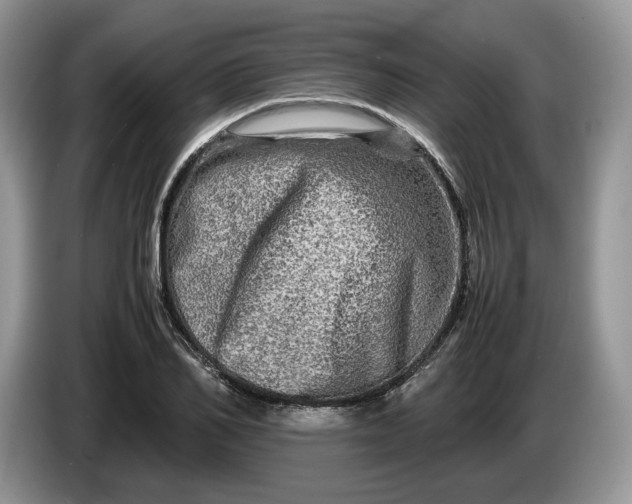 X0000086280982200704122044