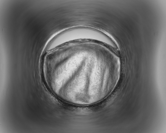 X0000086280983200704122044