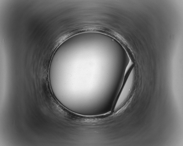 X0000086280985200704122044