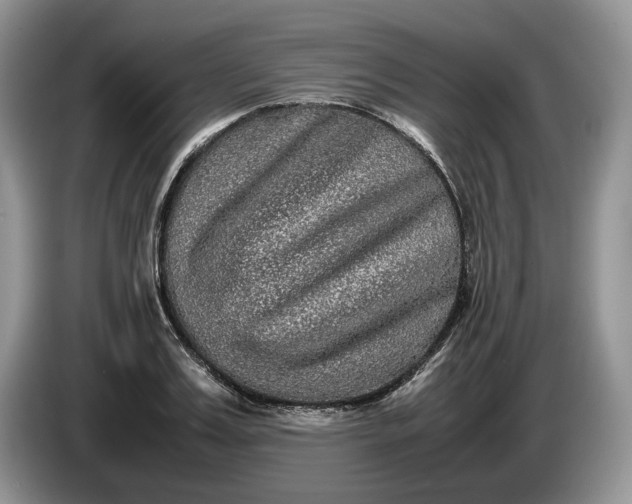 X0000086280987200704122044