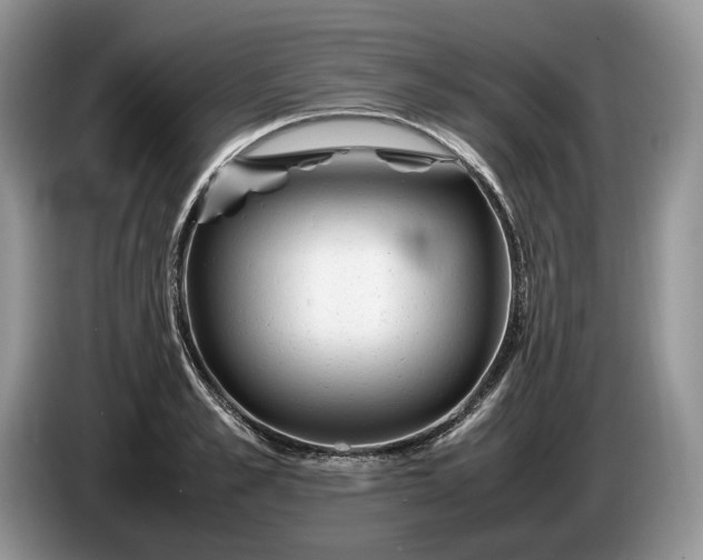 X0000086280989200704122044