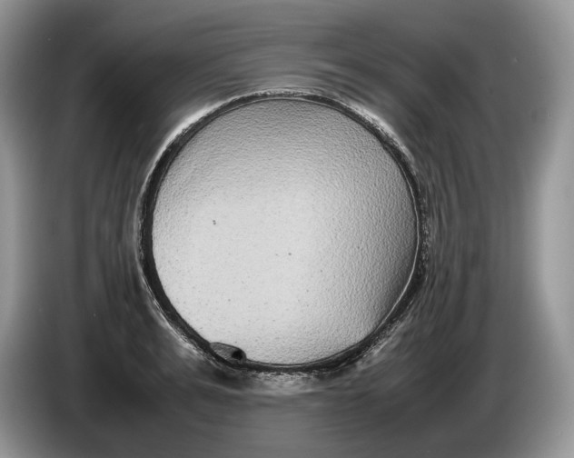 X0000086280991200704122044