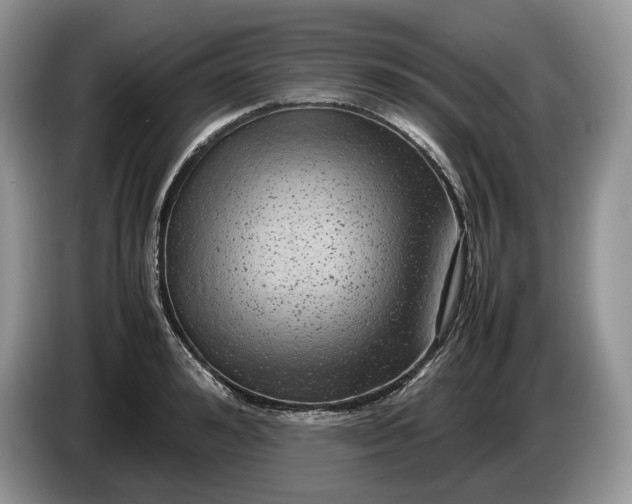 X0000086280992200704122044