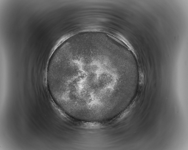 X0000086280994200704122044