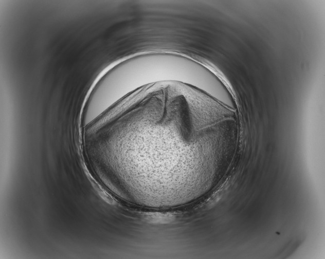 X0000086280996200704122044