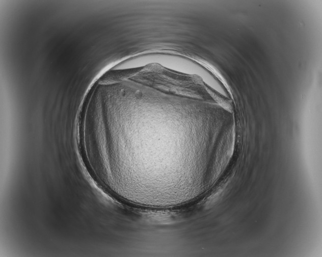 X0000086280999200704122044