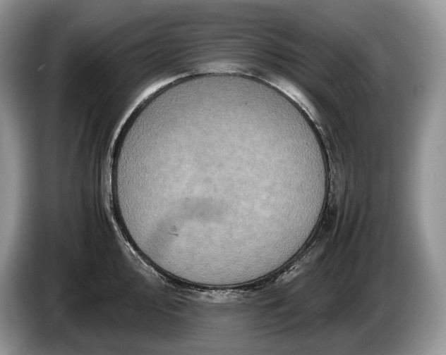 X0000086281000200704122044