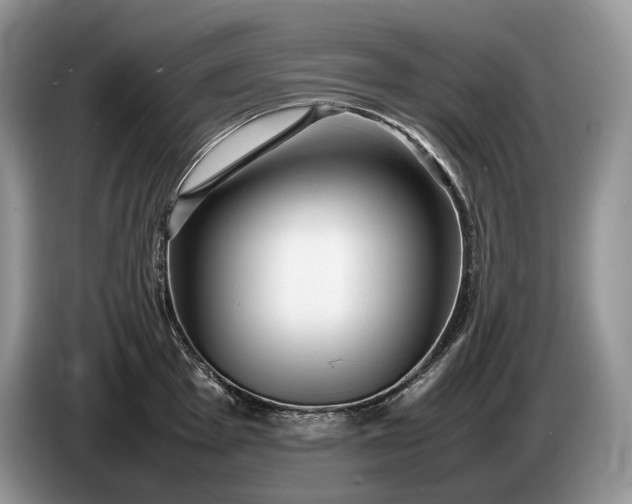 X0000086281001200704122044