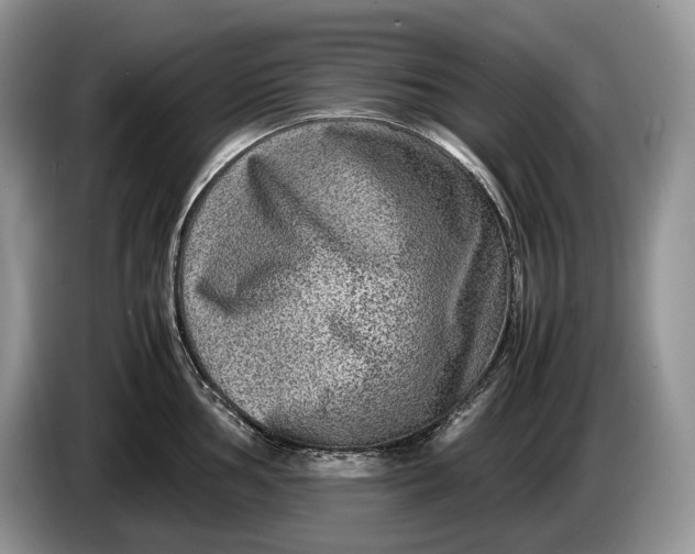 X0000086281002200704122044