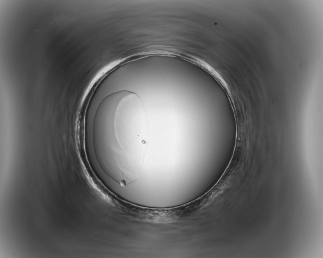 X0000086281003200704122044