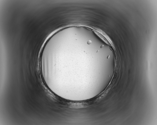 X0000086281004200704122044