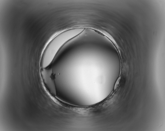 X0000086281005200704122044