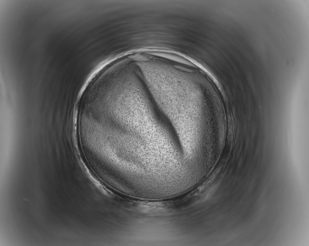 X0000086281006200704122044