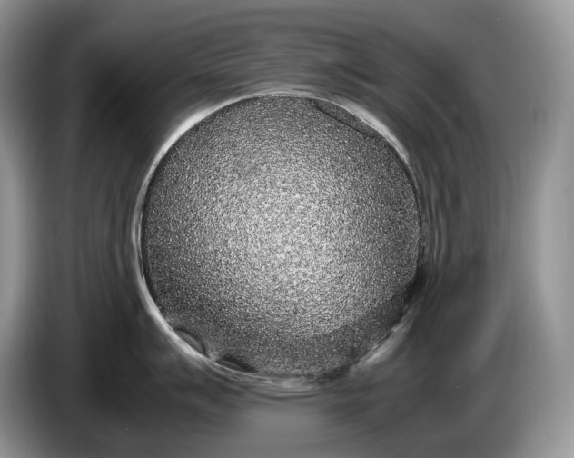 X0000086281007200704122044