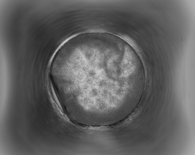 X0000086281008200704122044