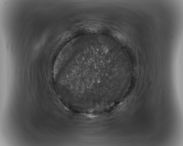 X0000086281009200704122043