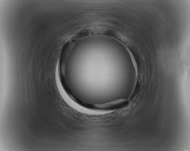 X0000086281010200704122043