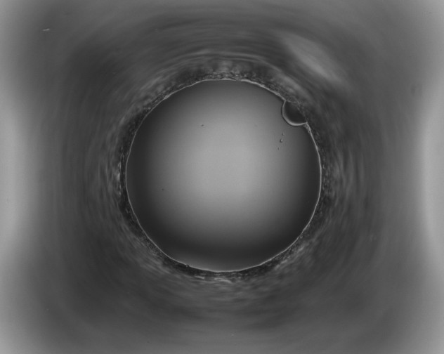 X0000086281013200704122043