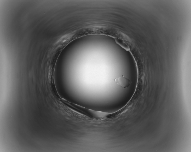 X0000086281014200704122043