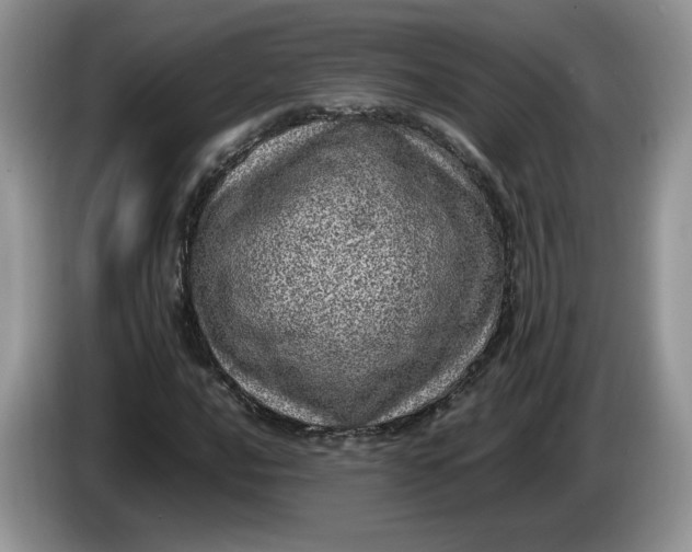 X0000086281016200704122043