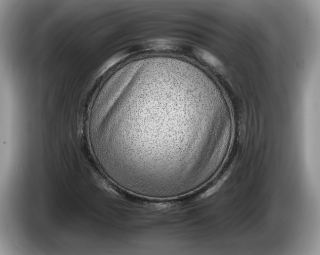 X0000086281017200704122043