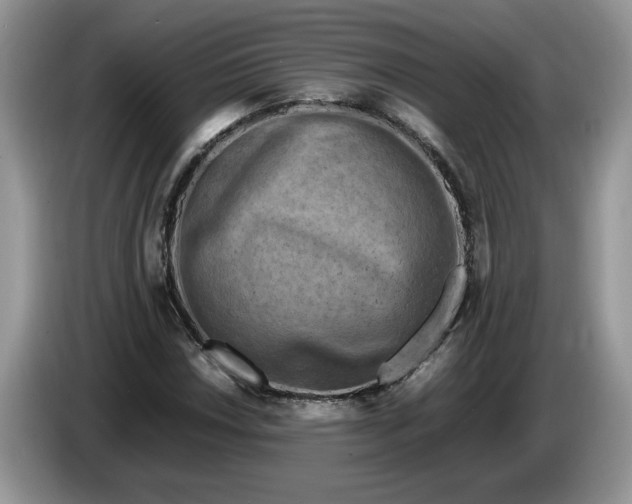 X0000086281018200704122043