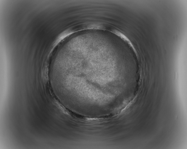 X0000086281019200704122043