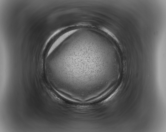 X0000086281021200704122043