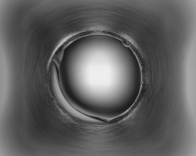 X0000086281022200704122043