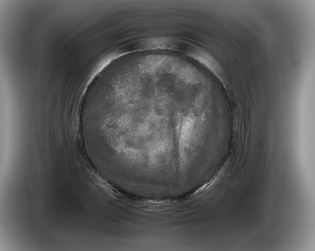 X0000086281023200704122043