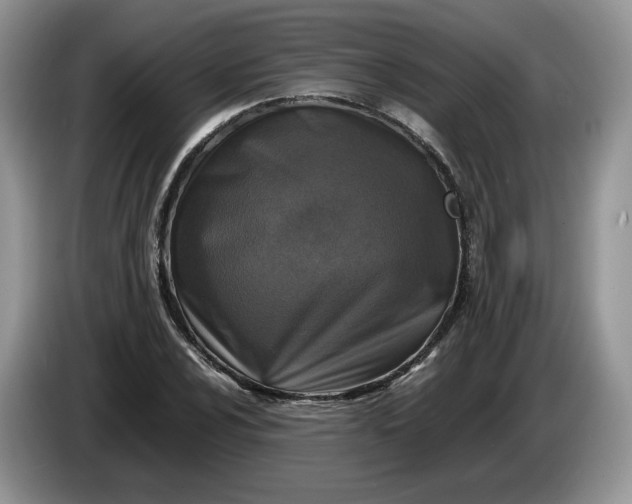 X0000086281024200704122043