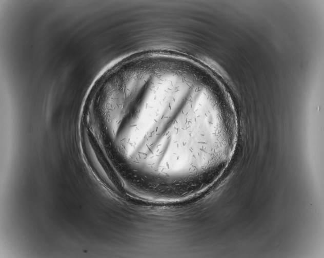 X0000086281028200704122043