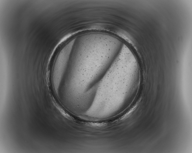 X0000086281029200704122043