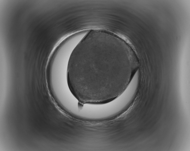 X0000086281030200704122043